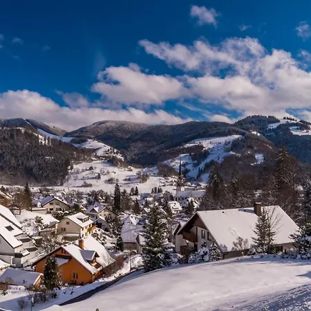 Penzion Haus Am Buehl Schönau im Schwarzwald