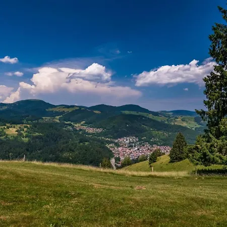 Penzion Haus Am Buehl Schönau im Schwarzwald
