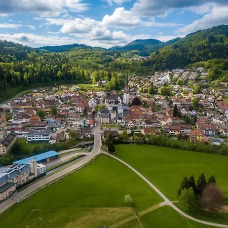 Haus Am Buehl Penzion Schönau im Schwarzwald