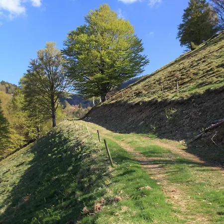 Penzion Haus Am Buehl Schönau im Schwarzwald